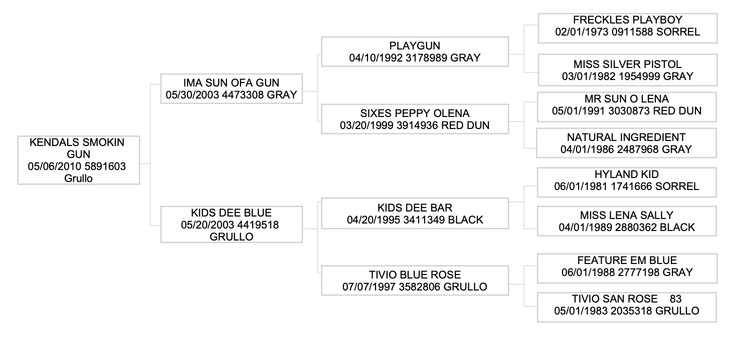 Three-generation pedigree chart for Kendals Smokin Gun, a 2010 grullo, listing sires, dams, registration numbers and colors