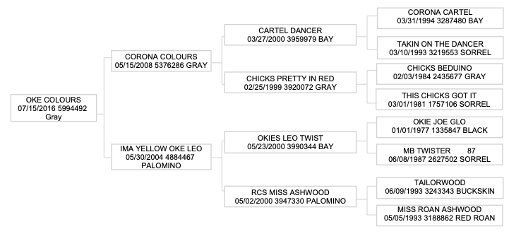 Four-generation pedigree chart for the gray 2016 stallion Oke Colours, tracing sires and dams with registration numbers and colors