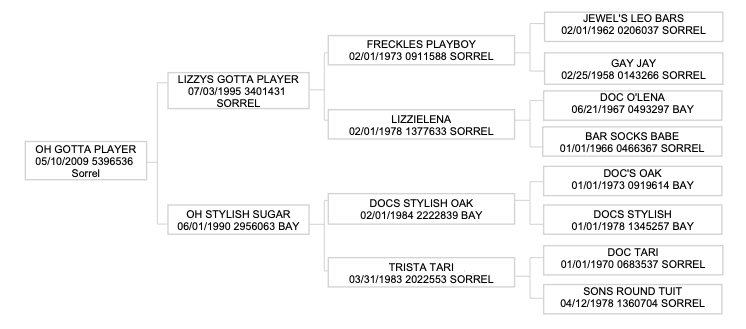 Four-generation pedigree chart for the sorrel horse Oh Gotta Player, listing sire, dam and ancestors with foaling dates and registration numbers