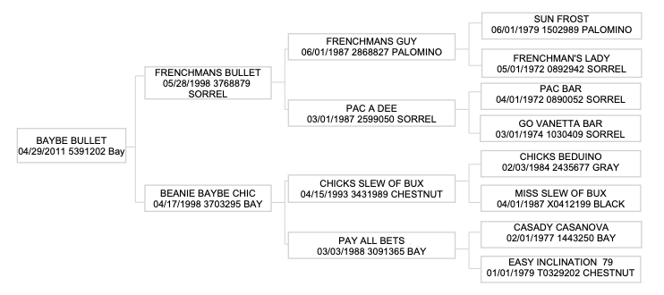 Four-generation pedigree chart for Baybe Bullet, a 2011 bay tracing to Frenchmans Guy and Chicks Beduino