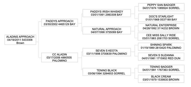 Four-generation pedigree chart for a 2011 brown horse, listing sires and dams with birthdates, registration numbers and coat colors