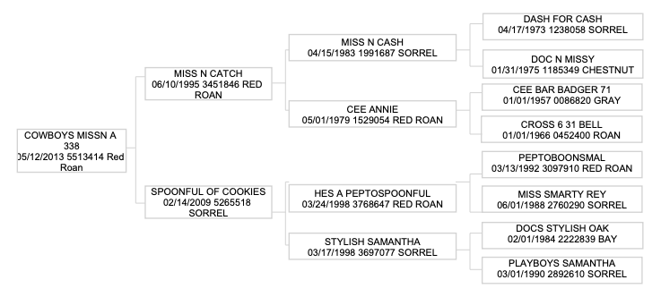 Four-generation pedigree chart for a 2013 red roan mare, listing sire and dam lines with registration numbers, colors and foaling dates