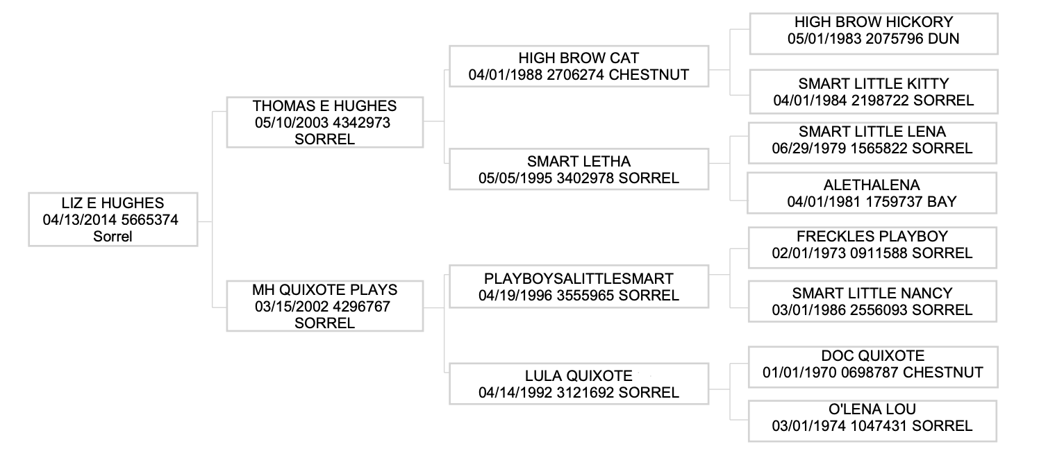 Three-generation pedigree chart for a 2014 sorrel mare tracing to High Brow Cat, Smart Little Lena, Freckles Playboy and Doc Quixote