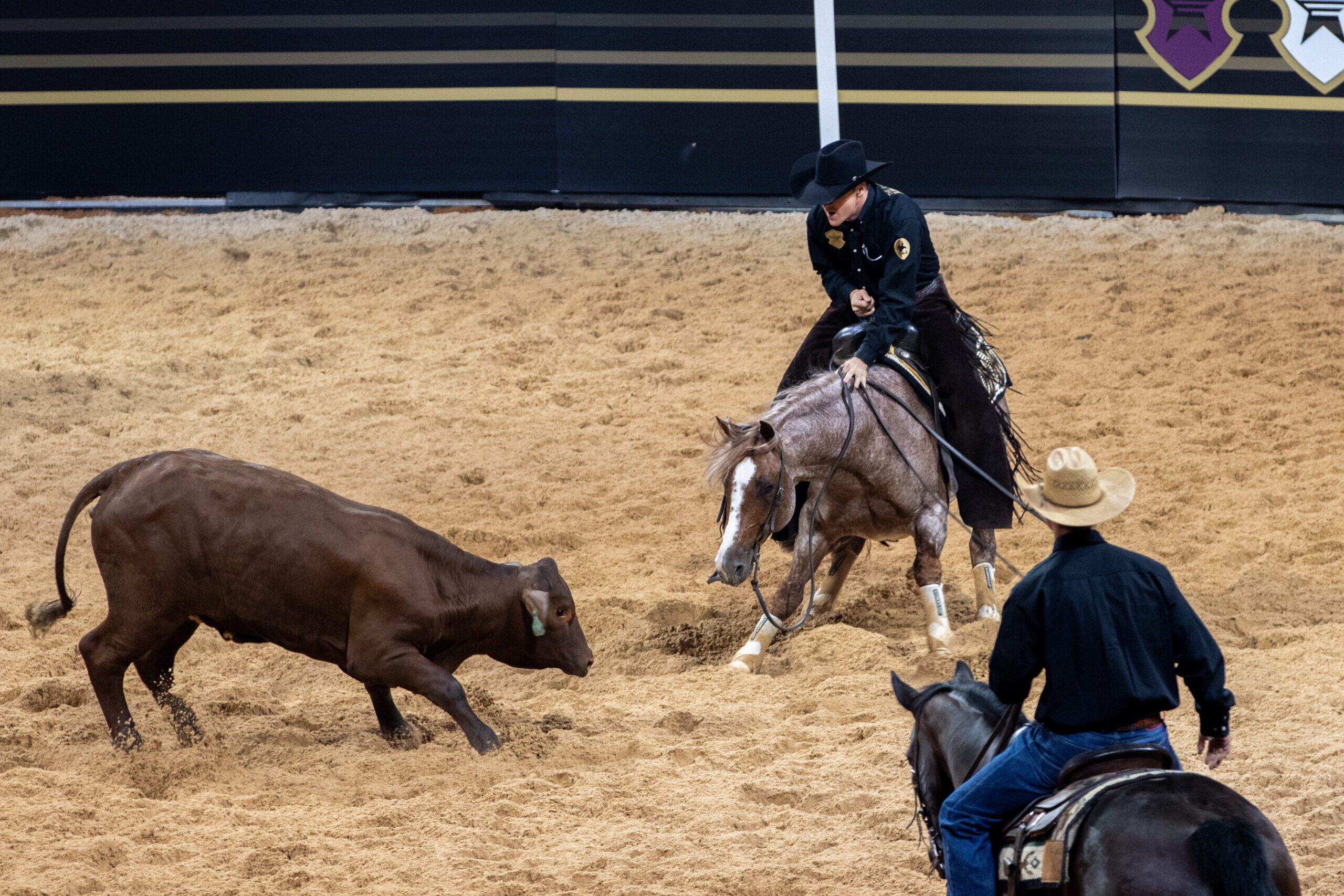Mounted cowboy on horseback works a pig in a sand arena while another competitor on horseback watches nearby