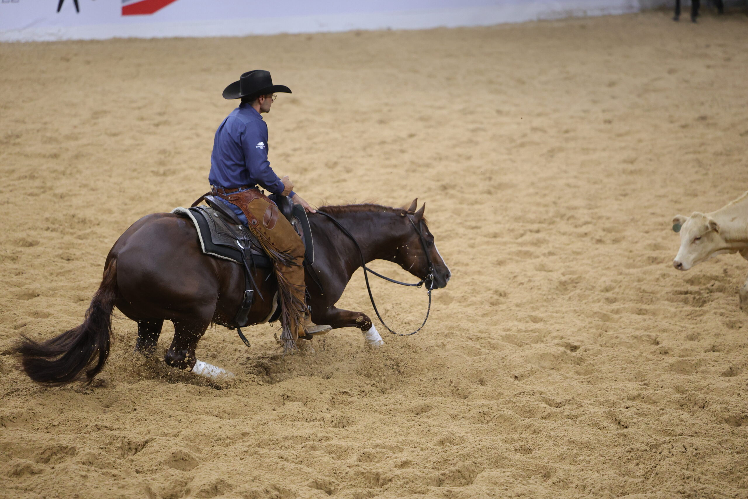 Cowboy in blue shirt and black hat rides a dark horse across sandy arena during roping event