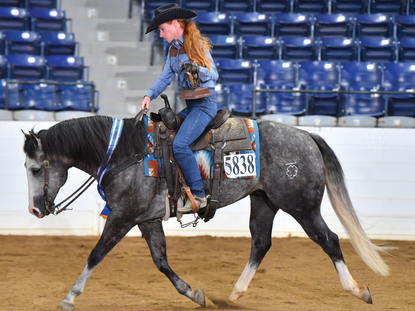Inside the Bloodlines Driving the Ranch Horse Boom