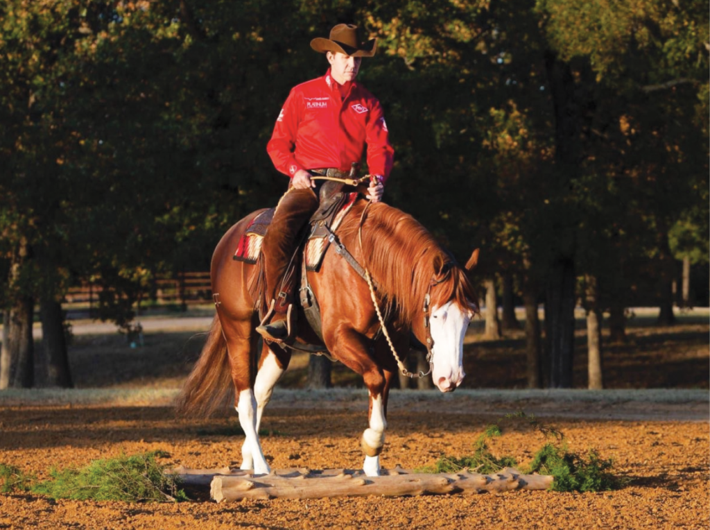 Rider in a red shirt and brown cowboy hat guides a chestnut horse with a blaze over a ground pole in a sandy arena