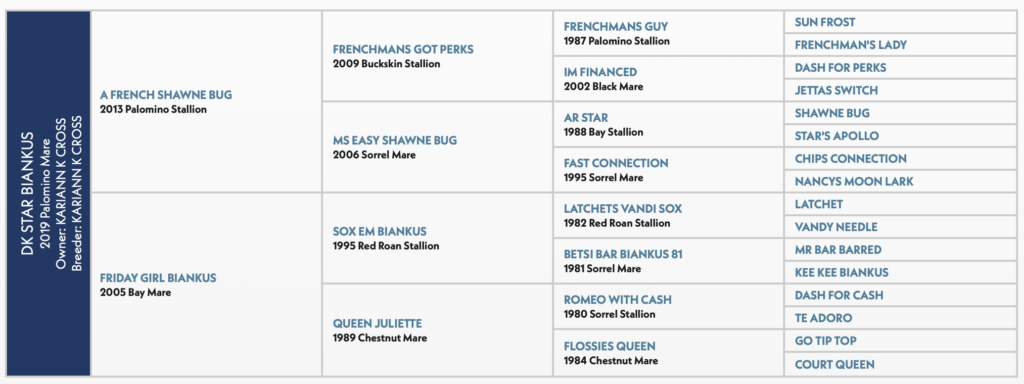 DK Star Biankus pedigree