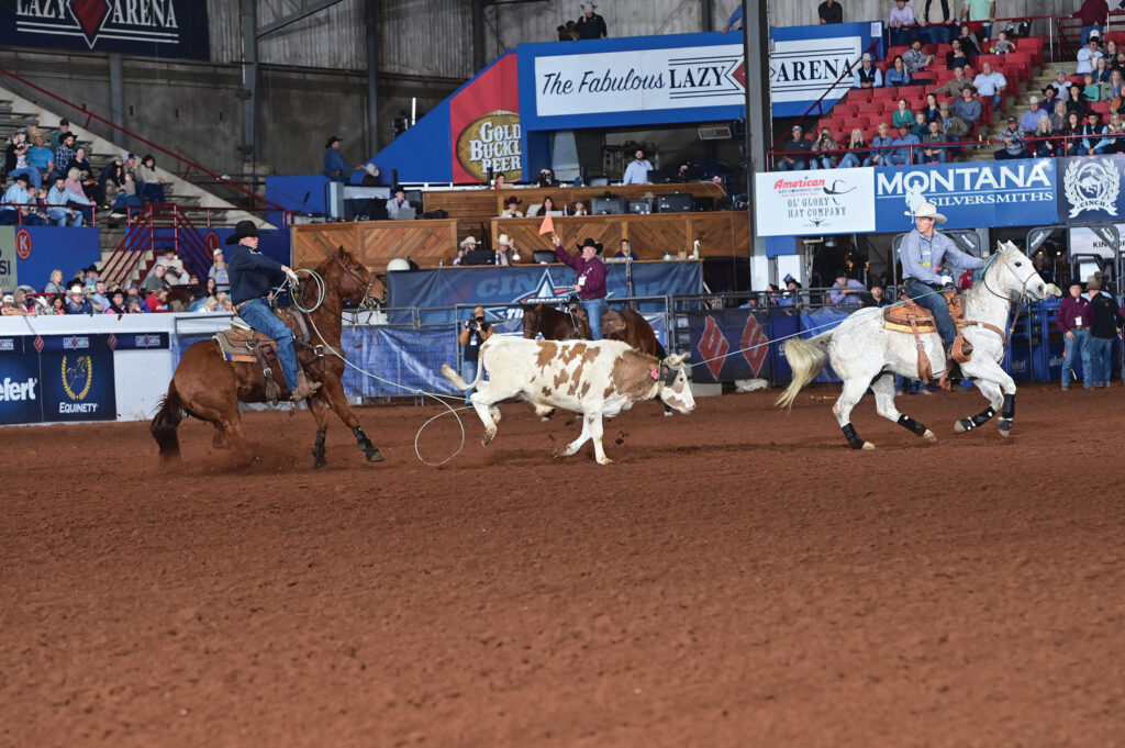 Team ropers on sorrel and gray horses work a red-and-white steer in an indoor arena as a crowd watches