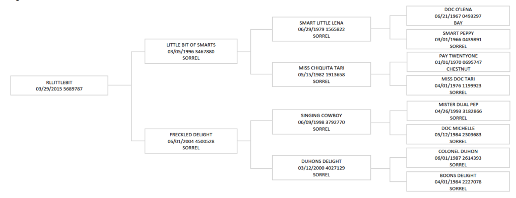 Four-generation pedigree chart for the 2015 sorrel RLLITTLEBIT, tracing back through Smart Little Lena and Doc O'Lena