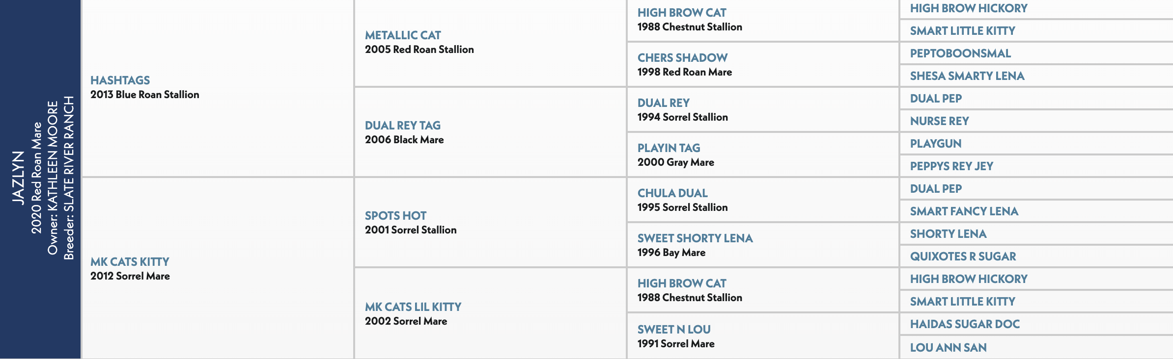 Four-generation pedigree chart for Jazlyn, a 2020 red roan mare by Hashtags out of MK Cats Kitty