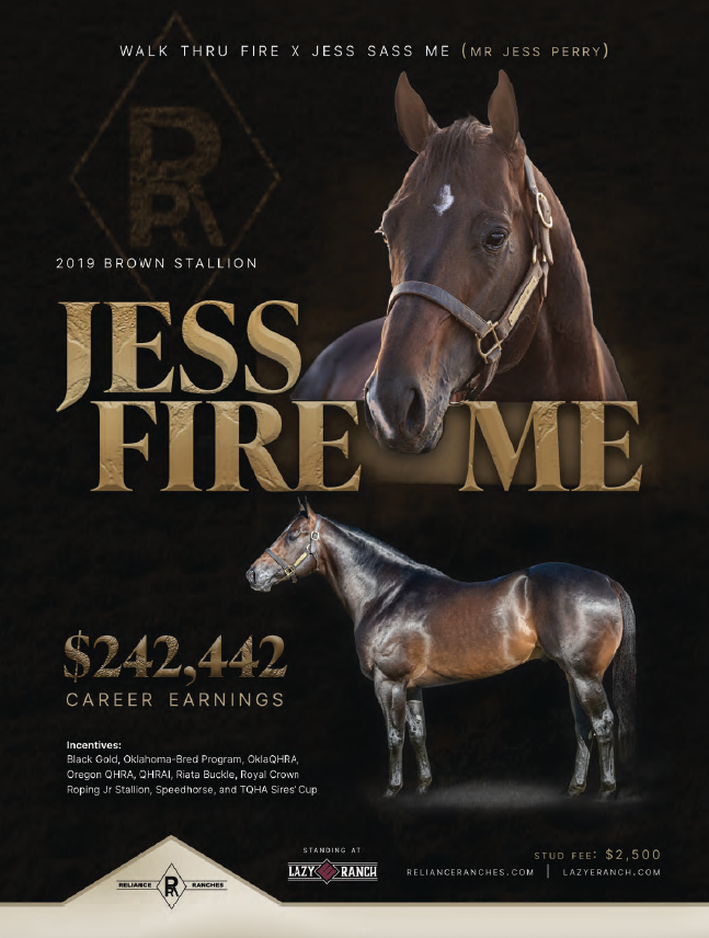 Brown stallion Jess Fire Me with career earnings of $242,442 standing at Lazy Z Ranch, a breeding and stud service advertisement