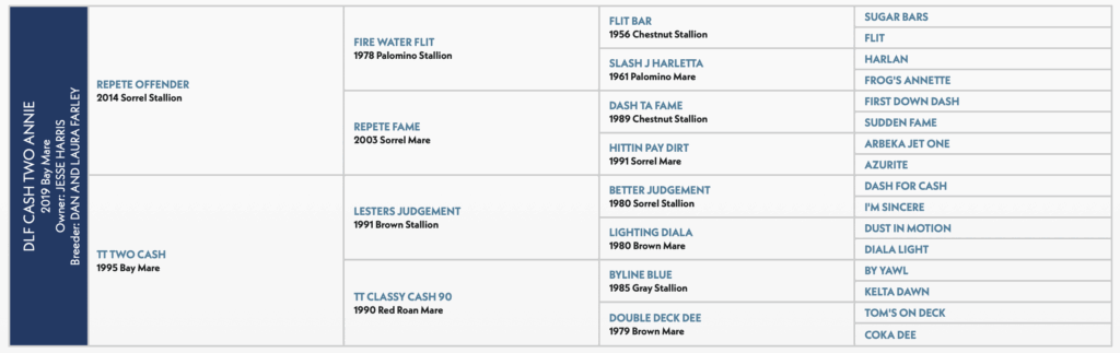 DLF Cash Two Annie pedigree