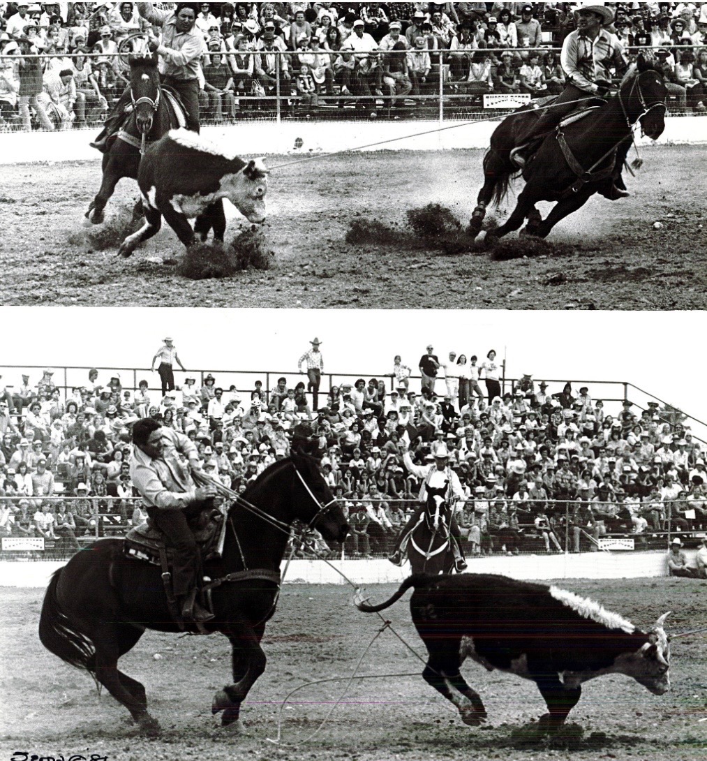 Two black-and-white photos from a rodeo: top image shows two mounted cowboys herding a steer during a roping event; bottom image depicts a cowboy on horseback roping a steer with spectators in the stands