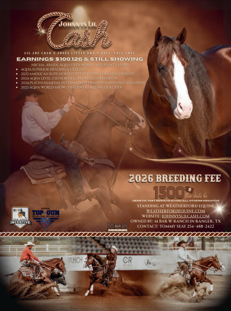 Johnny's Lil Cash stallion breeding advertisement featuring a brown horse with white blaze, earnings information, show achievements, and action photos of team roping competitors