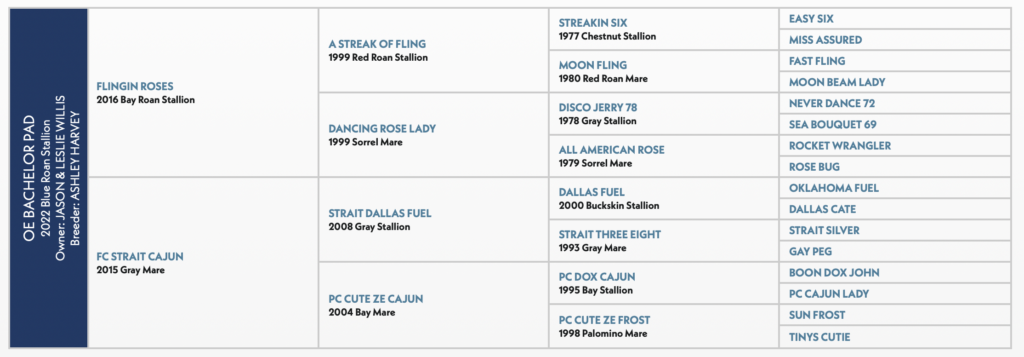 Tri-fold brochure with blue sidebar listing rodeo event schedules and results in multiple columns