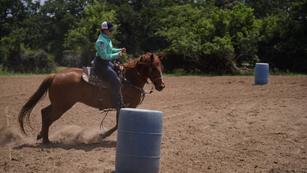 Barrel racer on brown horse approaching blue barrel during timed run in arena