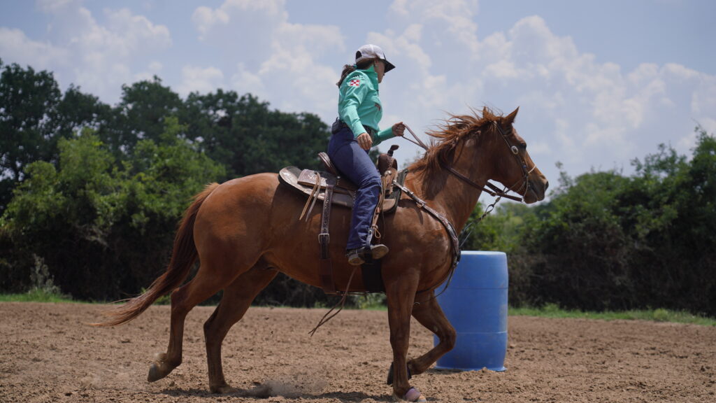 Barrel racer on chestnut horse approaching blue barrel during timed run in arena