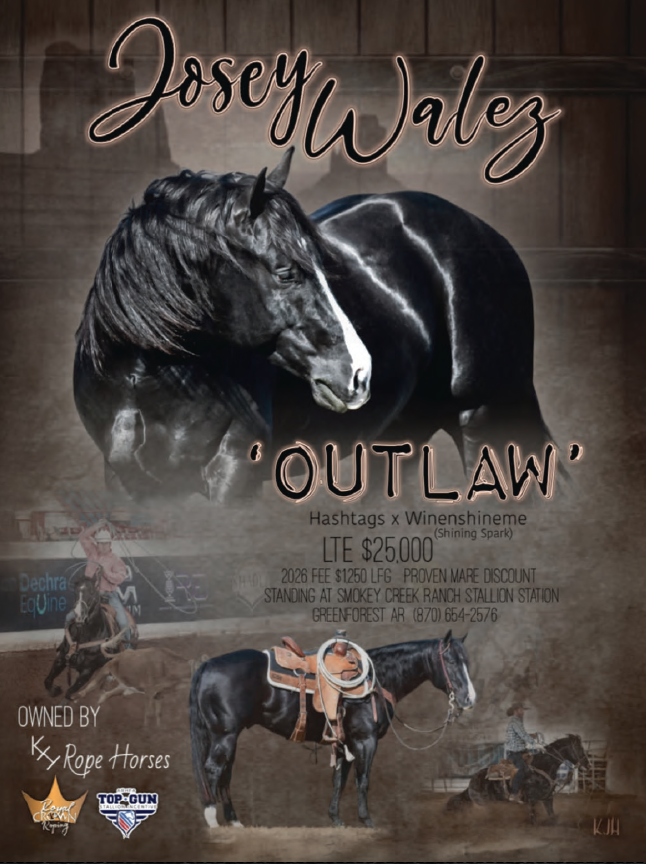 Stallion breeding ad for black Quarter Horse "Josey Walez" nicknamed Outlaw, with headshot, saddled conformation photo and roping run