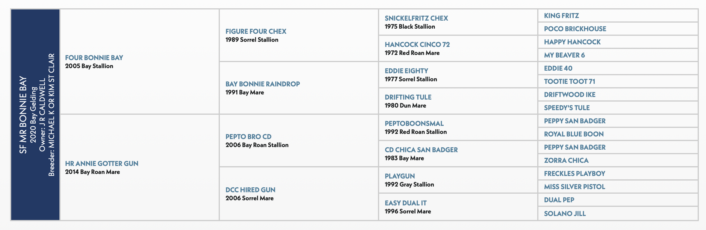 SF Bonnie Bay pedigree chart showing bloodline descendants from 2005 Bay Stallion through multiple generations of horses with names and birth years