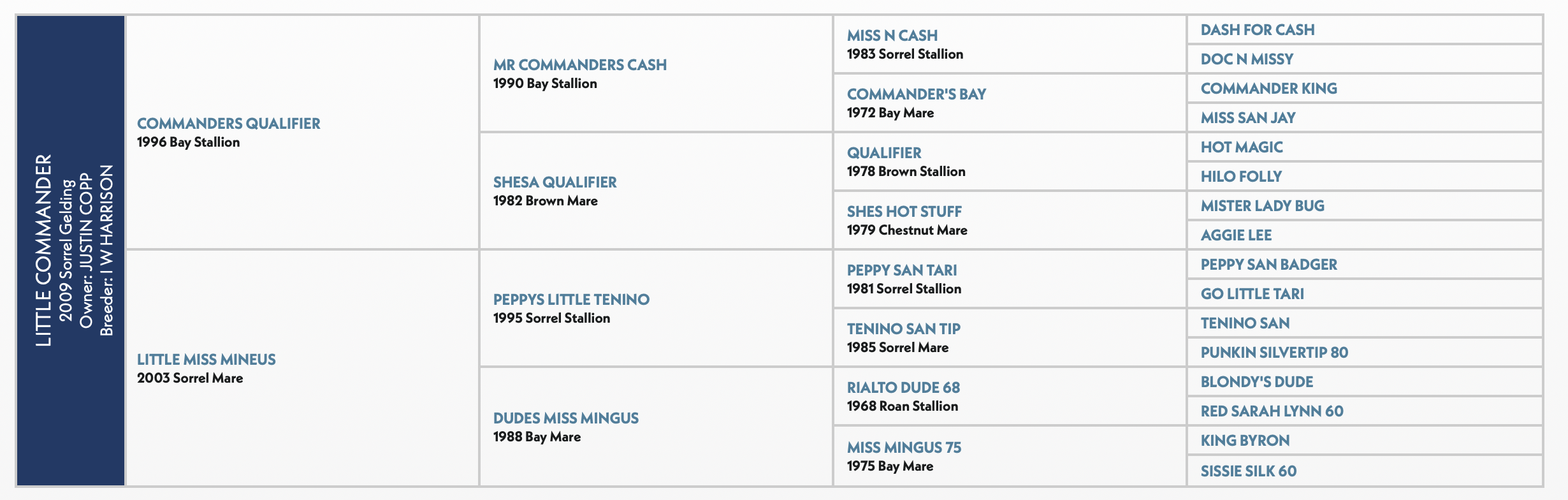 Pedigree chart for Little Commander horse showing four generations of ancestry, with 1996 Bay Stallion at top and multiple descendants listed across columns