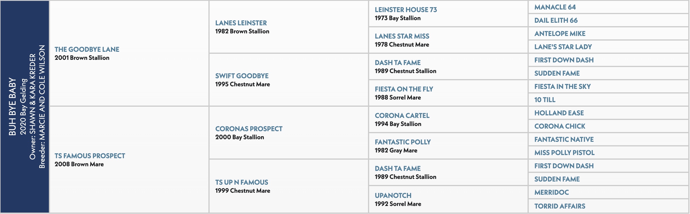 Five-generation pedigree chart for Buh Bye Baby, a 2020 bay gelding by The Goodbye Lane out of TS Famous Prospect