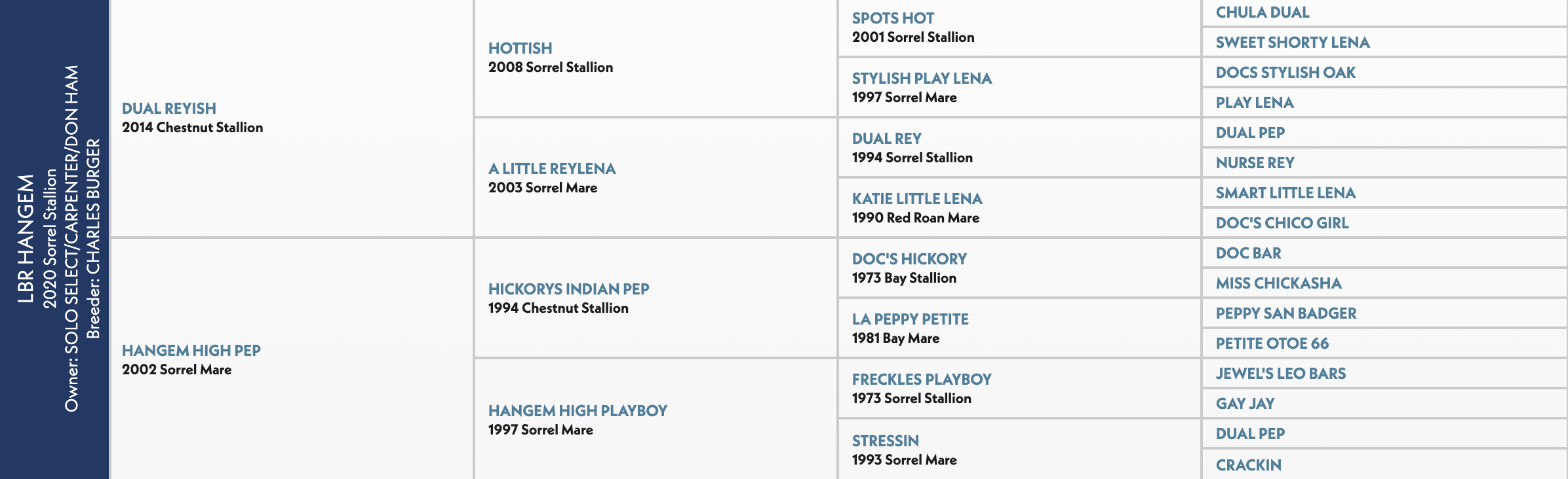Five-generation pedigree chart for LBR Hangem, a 2020 sorrel stallion by Dual Reyish out of Hangem High Pep
