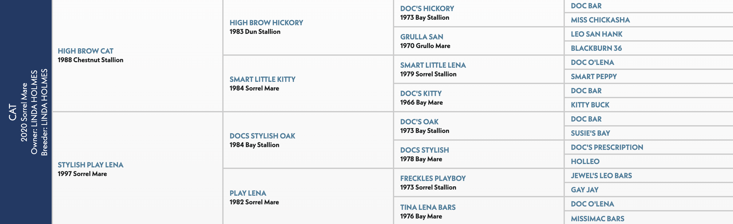 Five-generation pedigree chart for a 2020 sorrel mare by High Brow Cat out of Stylish Play Lena, bred and owned by Linda Holmes