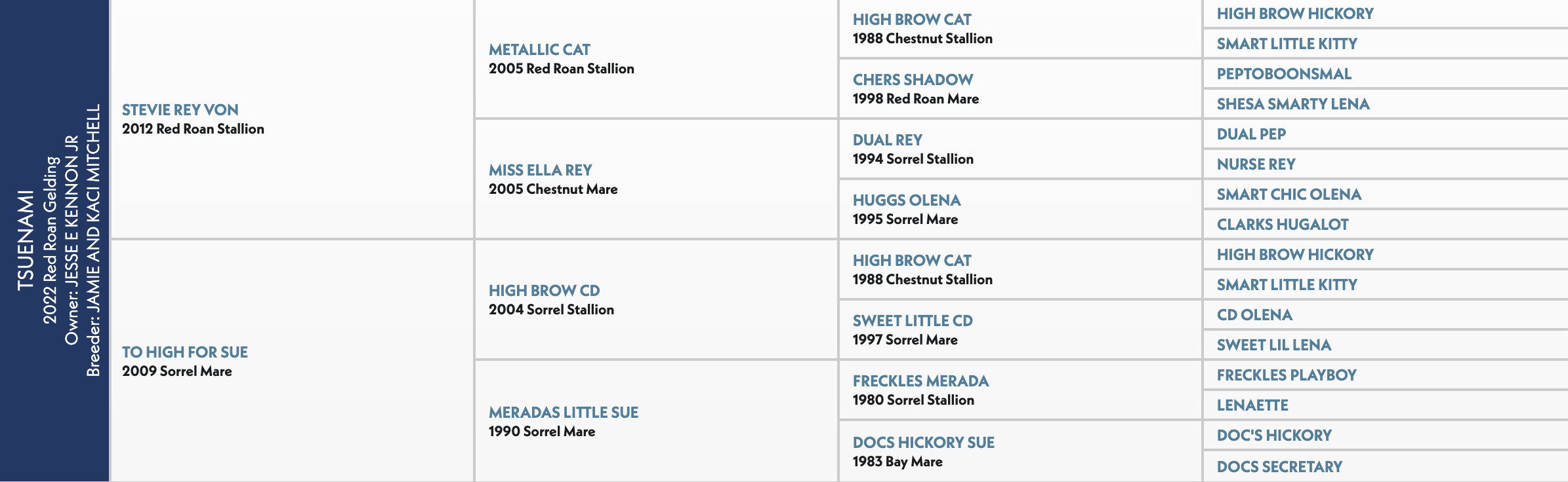 Five-generation pedigree chart for Tsuenami, a 2022 red roan gelding by Stevie Rey Von out of To High For Sue