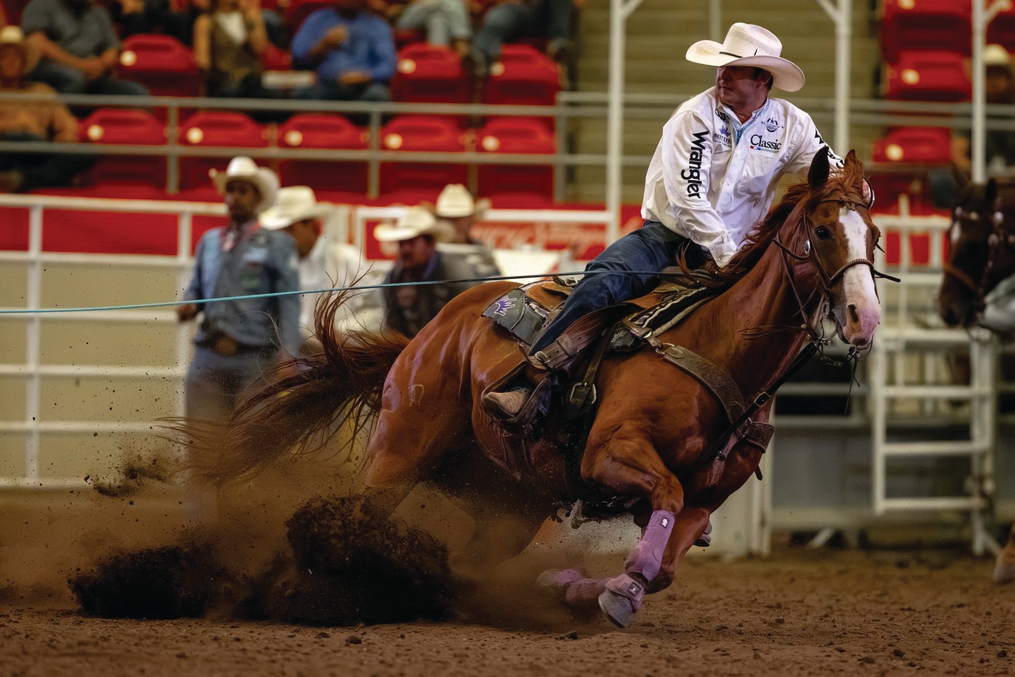 Korbin Rice heading a steer at the Calgary Stampede
