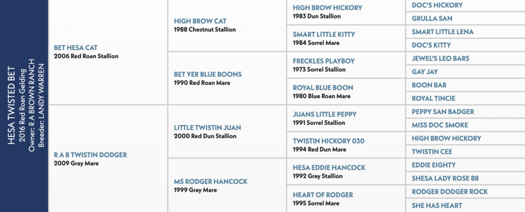 Five-generation pedigree chart for Hesa Twisted Bet, a 2016 red roan gelding by Bet Hesa Cat out of R A B Twistin Dodger