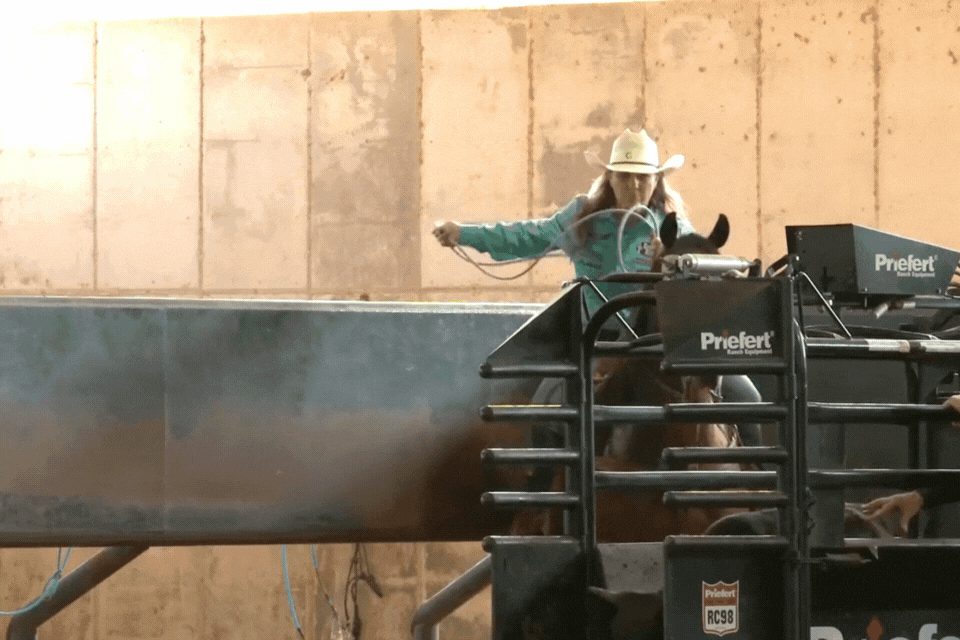Cowboy in green shirt and white hat sits atop Priefert livestock gate, arm extended while working with brown horse below during rodeo event