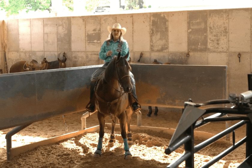 Trainer in turquoise shirt and cowboy hat stands with dark horse in indoor arena during training session