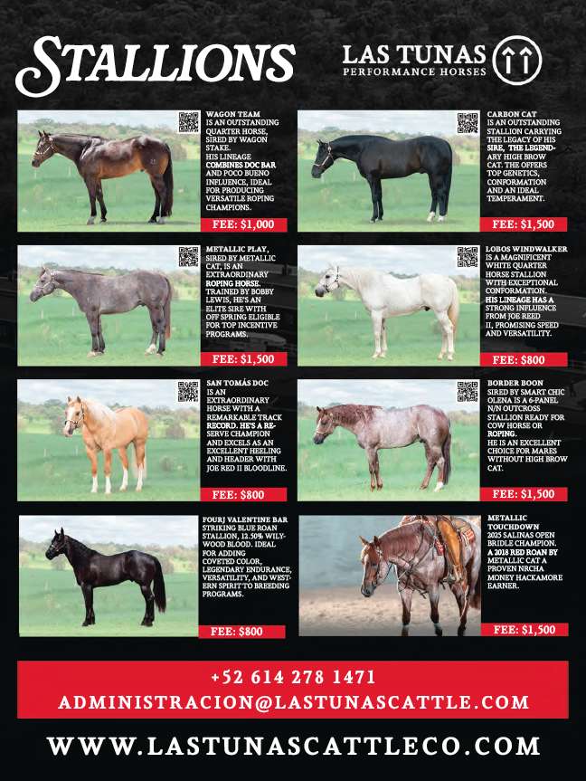 Las Tunas Performance Horses stallion roster flyer showing eight quarter horses with breeding descriptions and stud fees