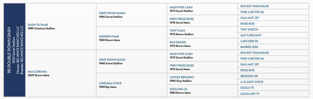 RR Double Down Dash pedigree