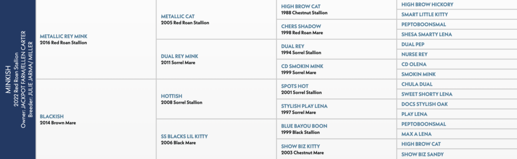 Minish 2025 pedigree chart showing stallion and mare bloodlines for Western performance horses, listing names and years across three generations