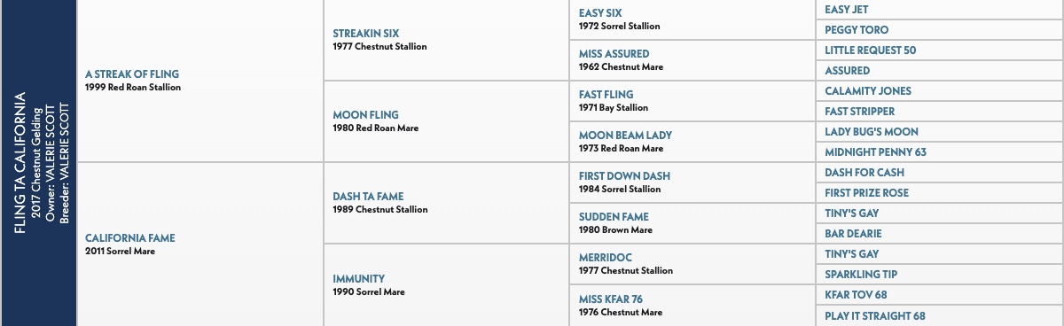 Five-generation pedigree chart for Fling Ta California, a 2017 chestnut gelding by A Streak Of Fling out of California Fame