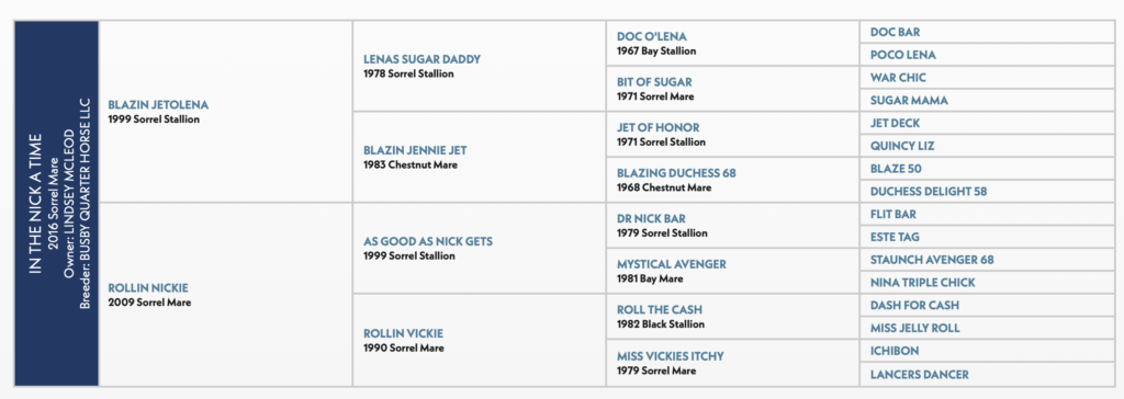 Five-generation pedigree chart for In The Nick A Time, a 2016 sorrel mare by Blazin Jetolena out of Rollin Nickie