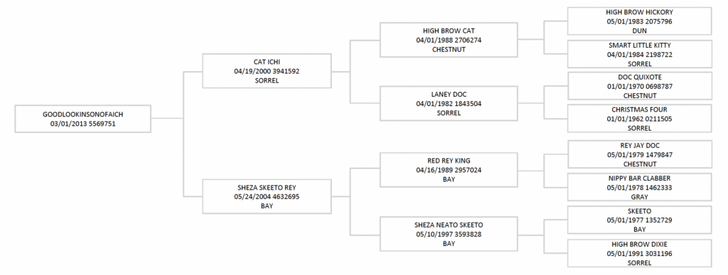 Five-generation pedigree chart for Goodlookinsonofaich, tracing sires and dams including Cat Ichi, High Brow Cat and Sheza Skeeto Rey
