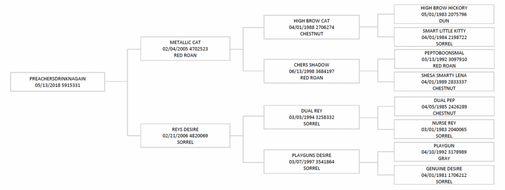 Four-generation pedigree chart for Preachersdrinknagain, tracing sire Metallic Cat and dam Reys Desire through High Brow Cat, Dual Rey and Playgun