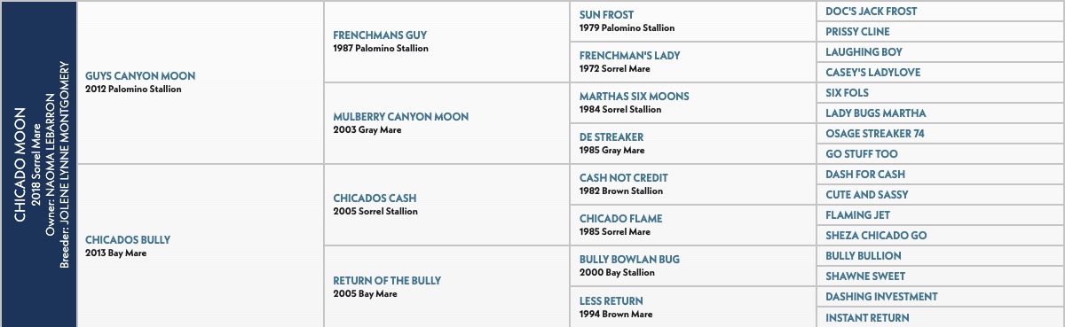 Five-generation pedigree chart for Chicado Moon, a 2018 sorrel mare, tracing sires and dams back through Frenchmans Guy and Chicados Cash