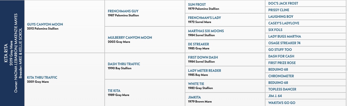 Five-generation pedigree chart for Kita Rita, a 2019 gray mare by Guys Canyon Moon out of Kita Thru Traffic