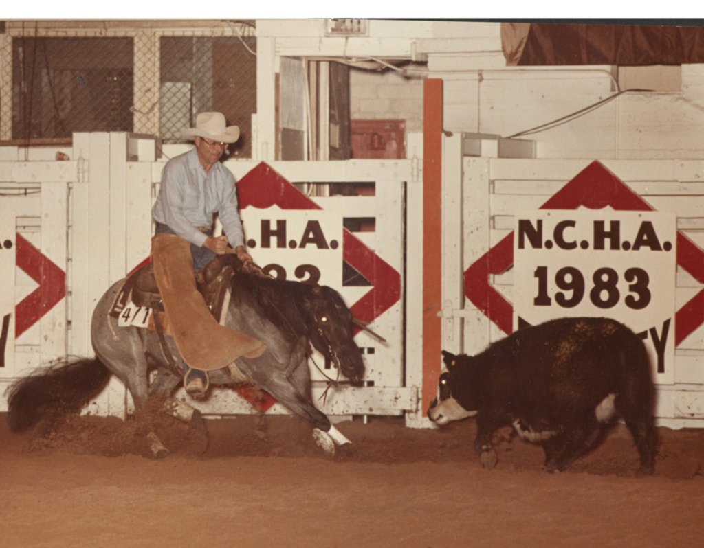 Cutting horse rider in chaps and cowboy hat works a black cow in front of NCHA 1983 arena signage
