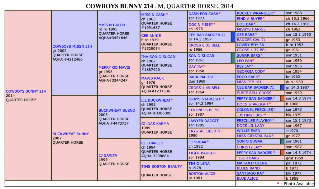 The Definitive List Of Horses Headed To The National Finals Of Breakaway Roping