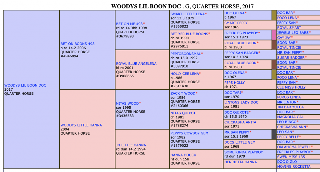 Five-generation pedigree chart for Woodys Lil Boon Doc, a 2017 Quarter Horse gelding, with sires and dams in blue and pink columns