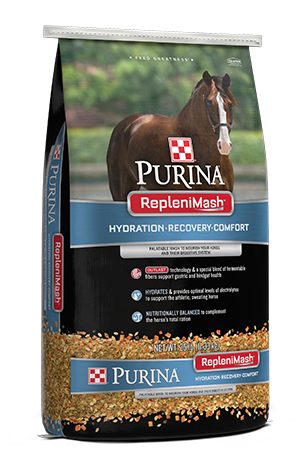 Purina Repleni-Mash horse feed bag featuring a brown horse with white blaze and hydration-recovery comfort formula