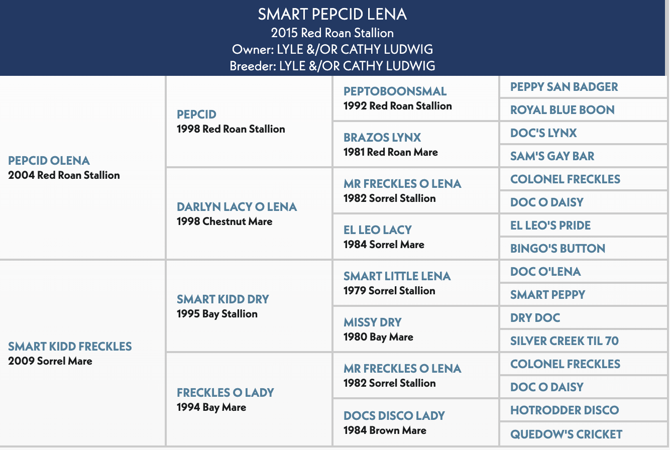 Five-generation pedigree chart for Smart Pepcid Lena, a 2015 red roan stallion, listing sires and dams by year and color