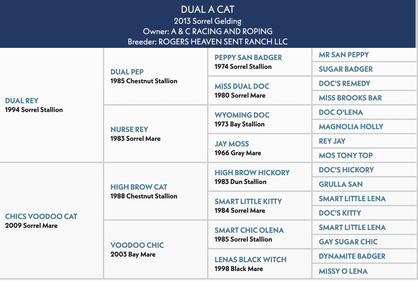 Four-generation pedigree chart for Dual A Cat, a 2013 sorrel gelding by Dual Rey out of Chics Voodoo Cat