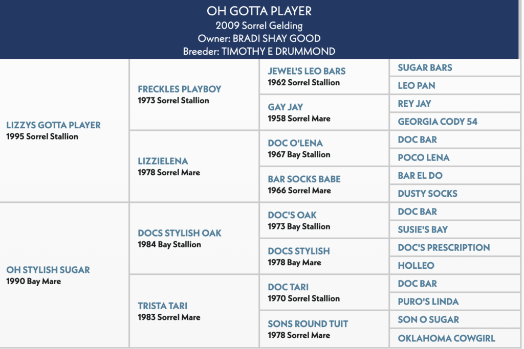 Five-generation pedigree chart for Oh Gotta Player, a 2009 sorrel gelding by Lizzys Gotta Player out of Oh Stylish Sugar