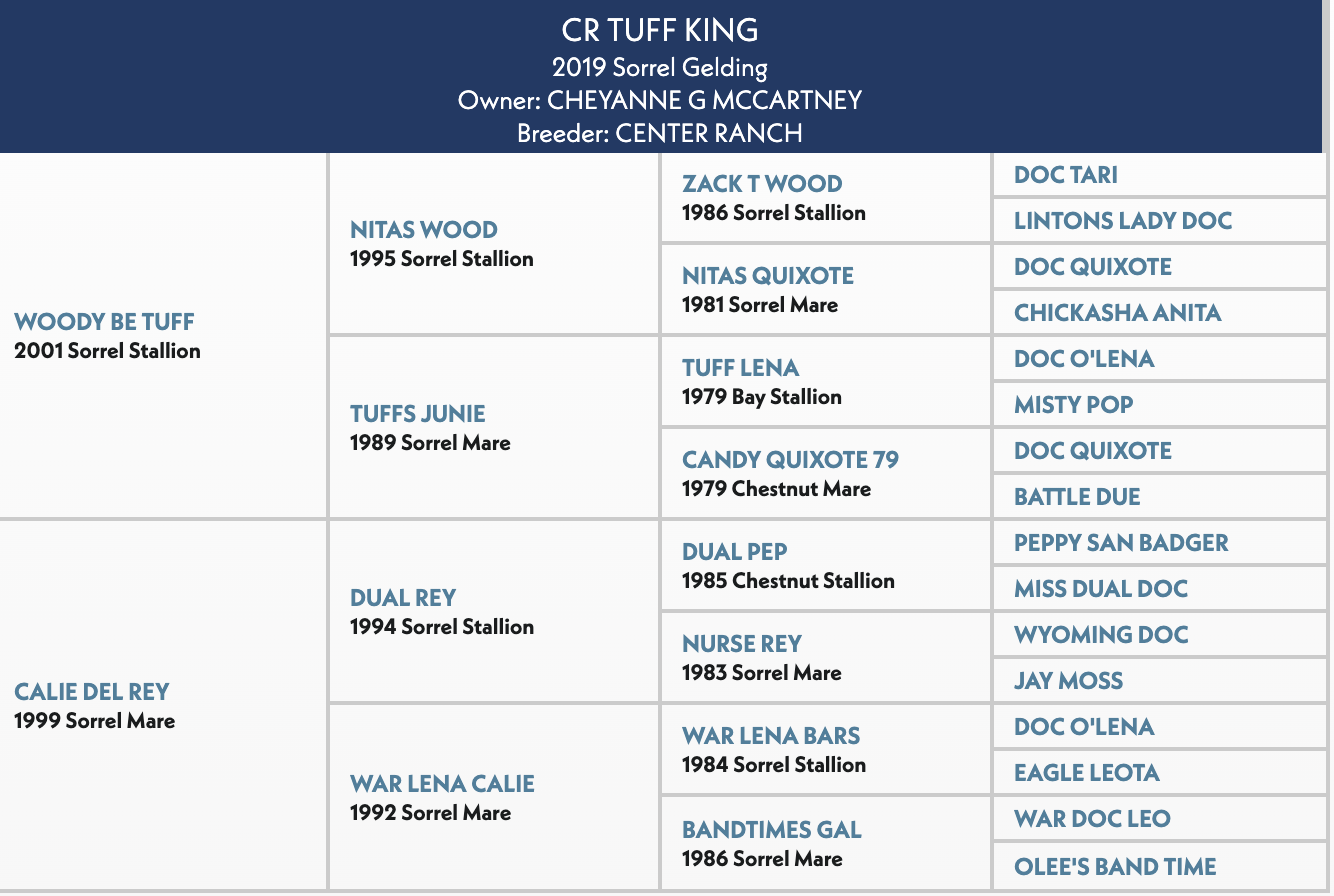 Four-generation pedigree chart for CR Tuff King, a 2019 sorrel gelding by Woody Be Tuff out of Calie Del Rey